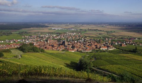 Dambach-la-Ville