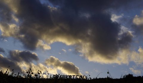 grand cru Frankstein dans les nuages