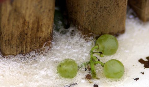 grains de raisin et pressoir en bois