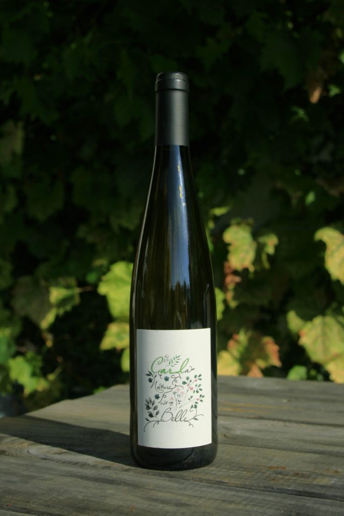 Riesling vinifié sans intrant ni filtration